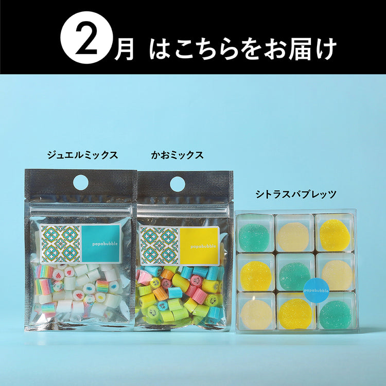 【定期便】おまかせ新商品BOX