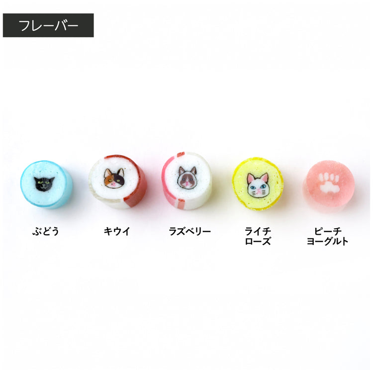 【ねこ】こねこミックス　ブルー２袋セット