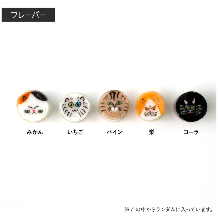 【ねこ】ねこミックス２袋セット