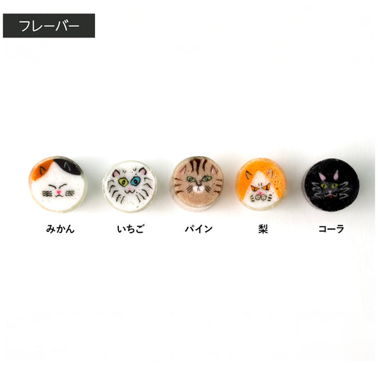 【ねこ】ねこミックス２袋セット