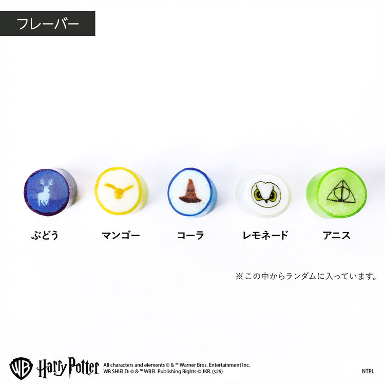 【ハリー・ポッター】ハリー・ポッター/魔法ミックス