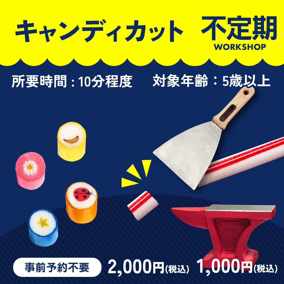 キャンディカット体験