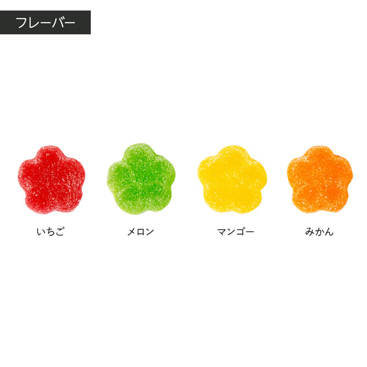 【グミフェス】リッチフルーツグミ