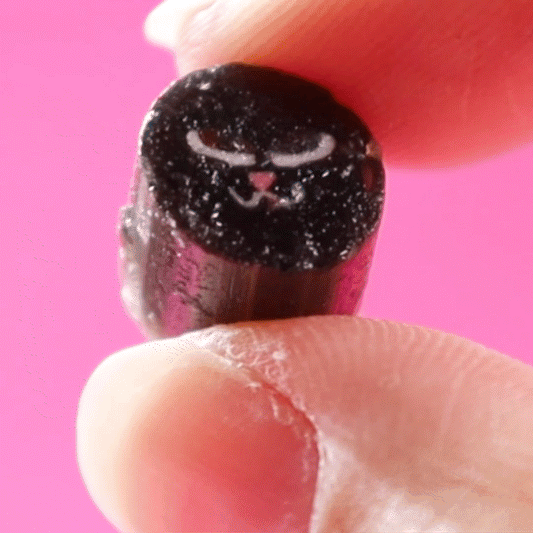 黒猫ミックス２袋セット