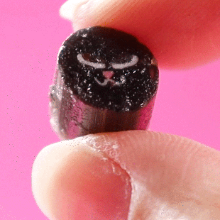 黒猫ミックス２袋セット