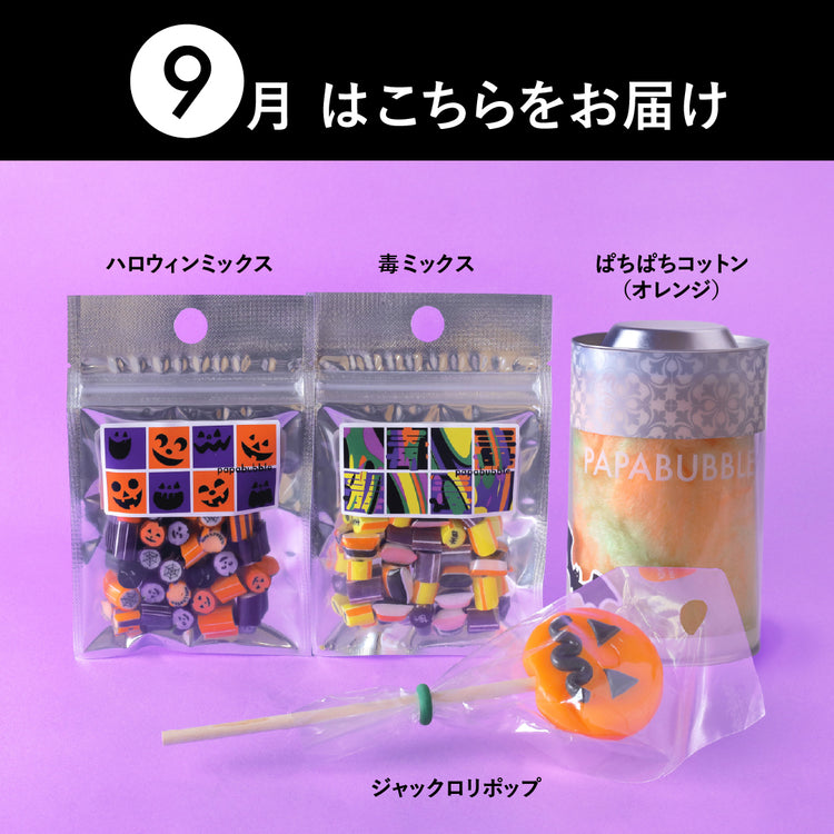 【定期便】おまかせ新商品BOX