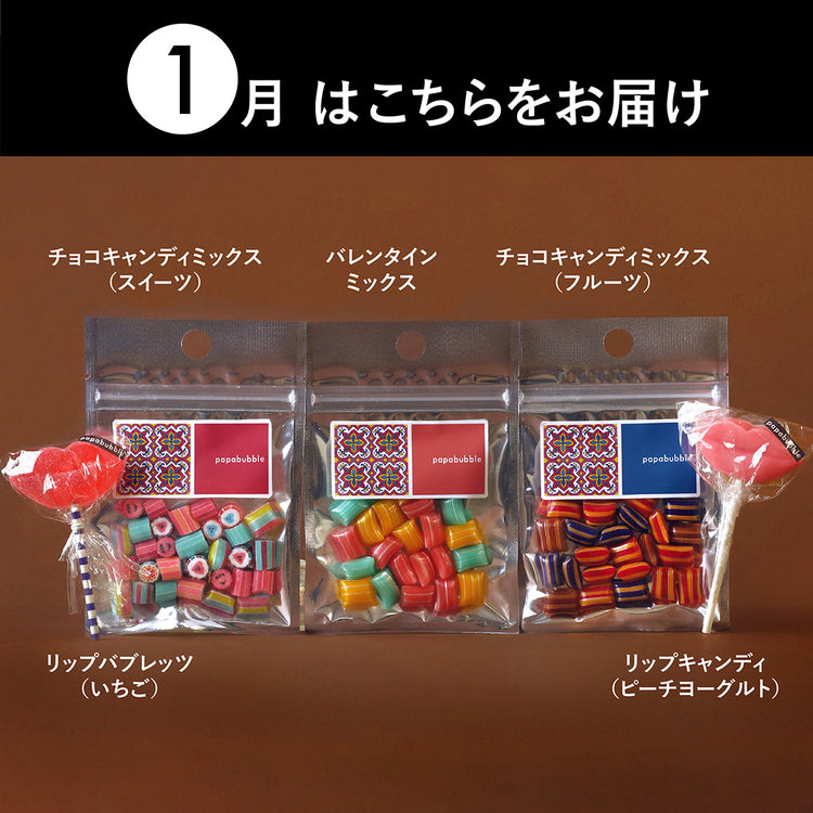 【定期便】おまかせ新商品BOX