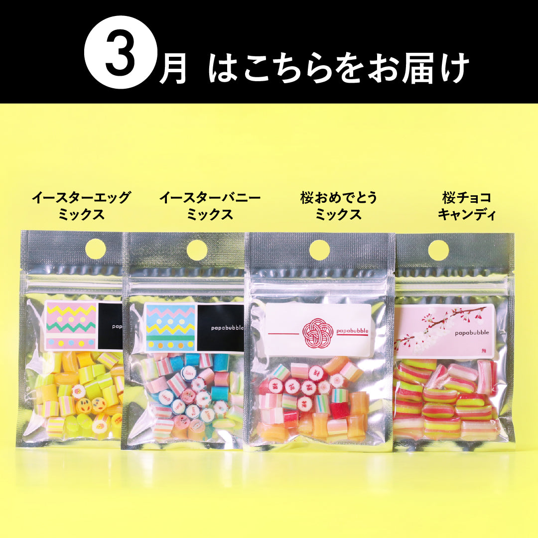 パパブブレ【定期便】＼送料ずっと無料／毎月ワクワク！新作をお得にお