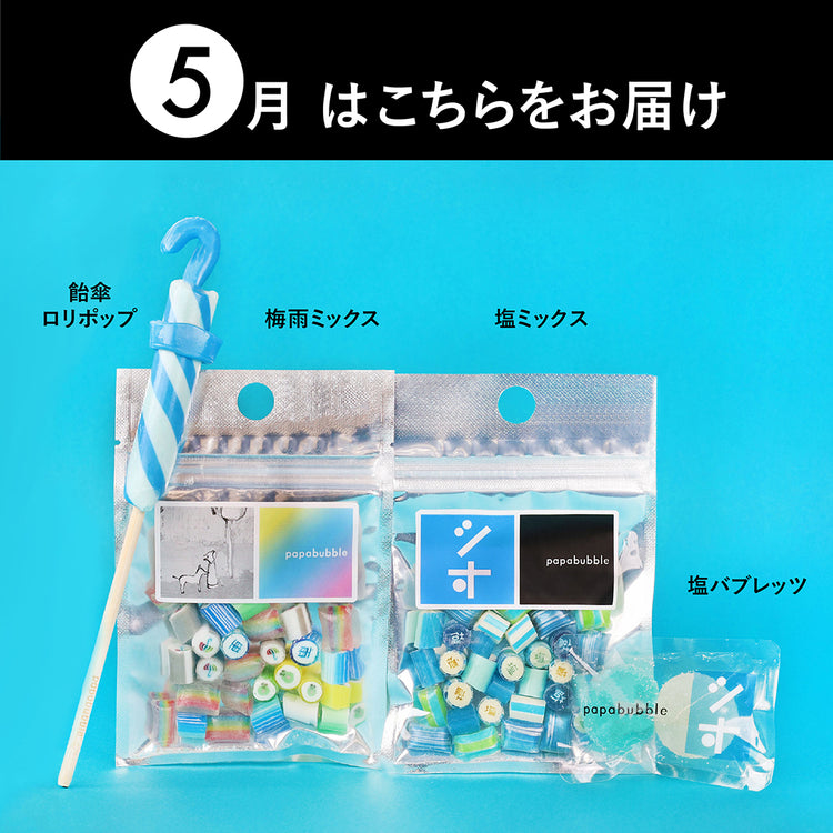 【定期便】おまかせ新商品BOX