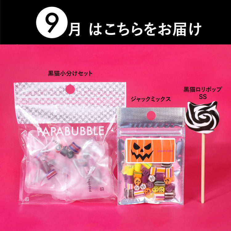 【定期便】おまかせ新商品BOX