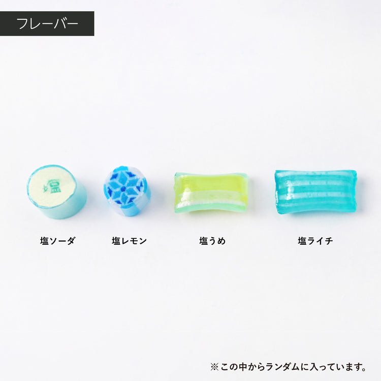 【塩】塩小分けセット
