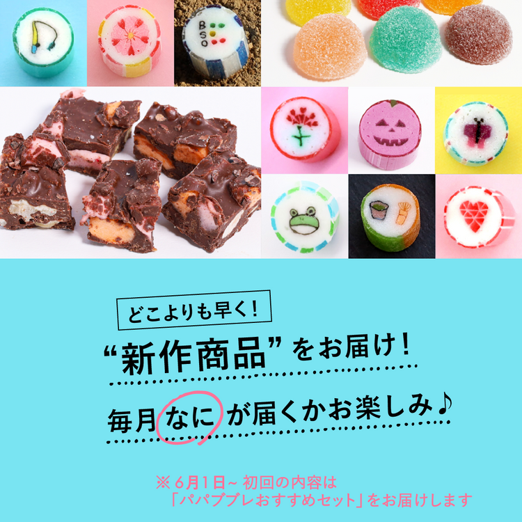 【定期便】＼送料ずっと無料／毎月ワクワク！新作をお得にお届け！