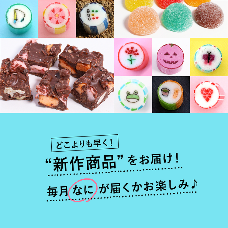 【定期便】＼送料ずっと無料／毎月ワクワク！新作をお得にお届け！