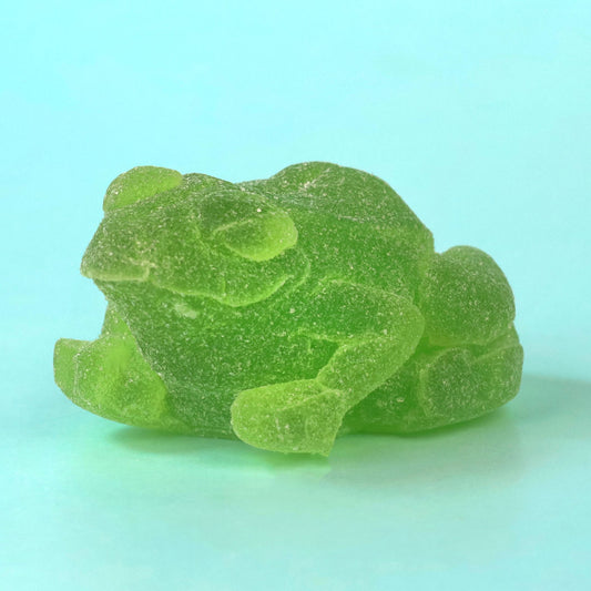【梅雨】手乗りカエルグミ