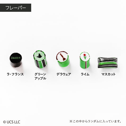 【ウィキッド】WICKED ELPHABA / ミックス　